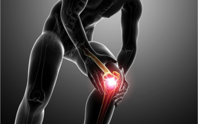 Do you suffer knee pain? Rehabbing Patella tendonitis